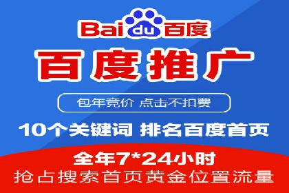 竞价推广策略解析：实战案例分析